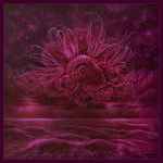 IN MOURNING - Garden of Storms CD